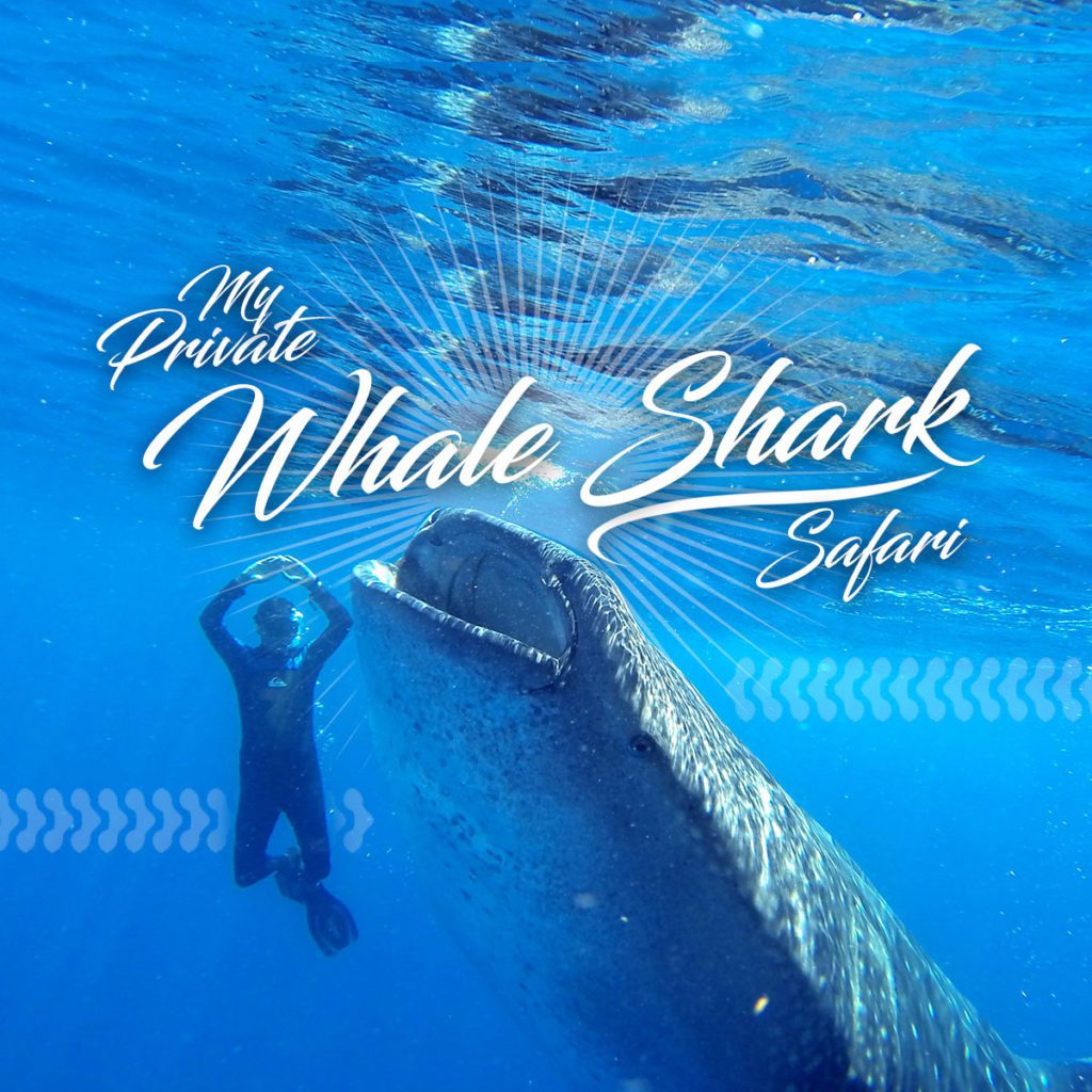 Private Whale Shark Tour - Cancun by The Custom Tour