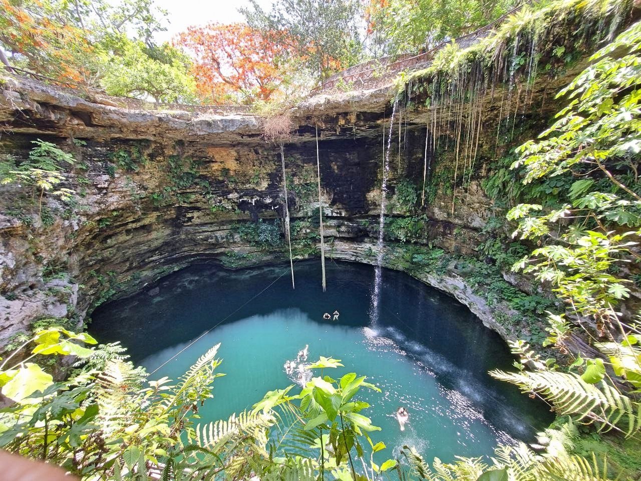 Cenote Saamal near Valladolid