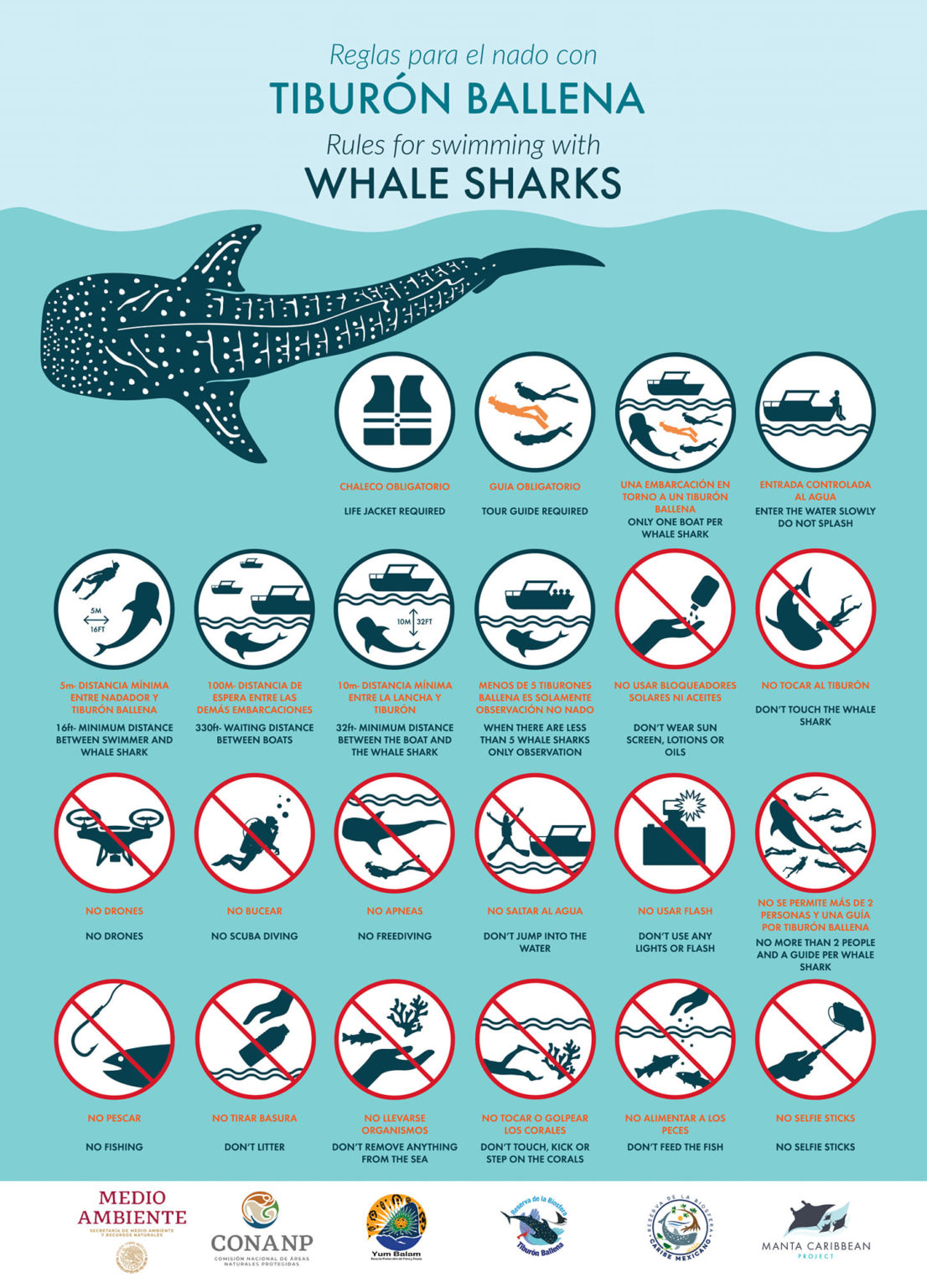 Whale Shark Rules